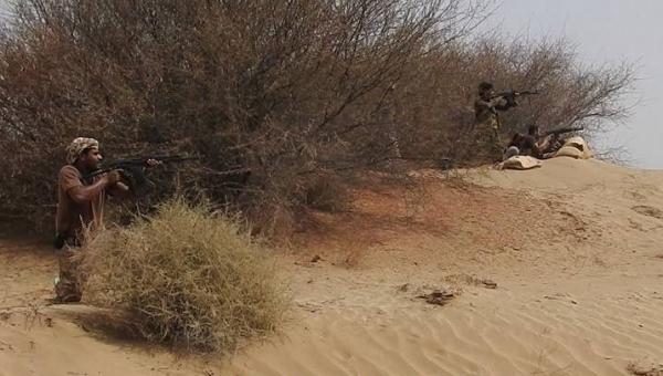 حجة.. قتلى وجرحى حوثيون بقصف مدفعي في حرض وعبس