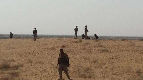عشرات القتلى والجرحى في صفوف الحوثيين إثر كمين محكم بعبس حجة