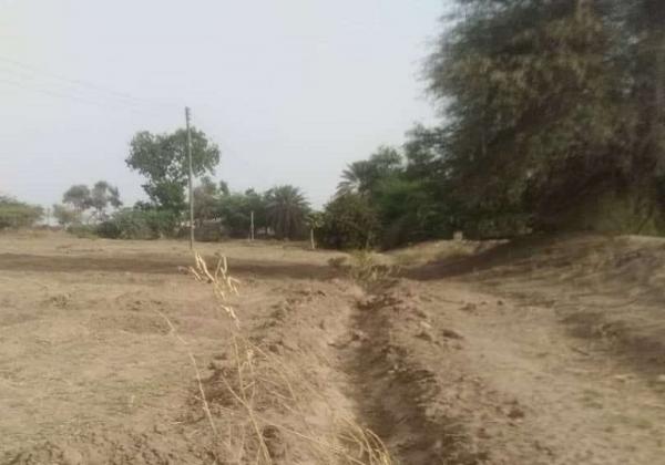 الجفاف يهلك المواشي والمزارع والمناحل.. سكان أبين: نطالب الحكومة بتعويضنا