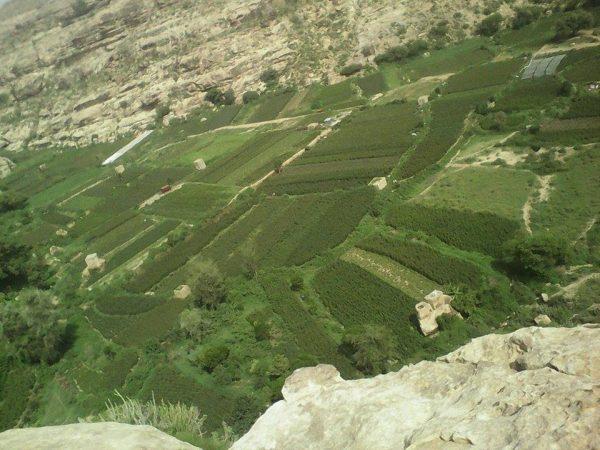 مزارعو دمت: مليشيا الحوثي افتعلت أزمة مادة "الديزل".. والمحاصيل مهددة بالتلف