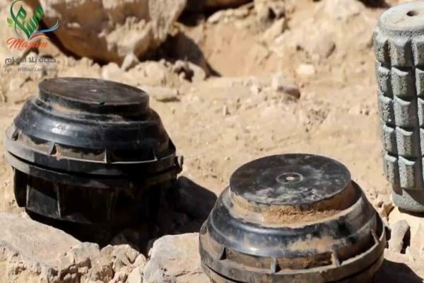 الفريق 21 مسام ينتزع 52 لغماً مضاداً للأفراد ألمانية الصنع في ذو باب بالساحل الغربي
