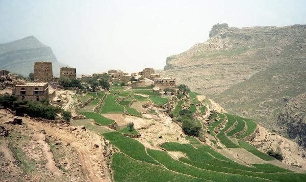 مليشيا الحوثي تمنع مزارعي "الرُجَم" بالمحويت من حصاد الثمار حتى إشعار منها (وثيقة)