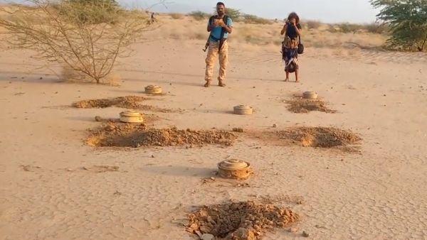 شبكة ألغام حوثية داخل منازل تقود إلى اكتشاف حقل ألغام جديد على مساحة 700 متر في مناطق زراعية جنوب الجراحي (فيديو)