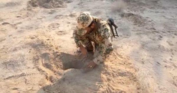 هندسة المشتركة تواصل تطهير حقول ألغام مليشيا الحوثي في المناطق المحررة حديثاً (فيديو)