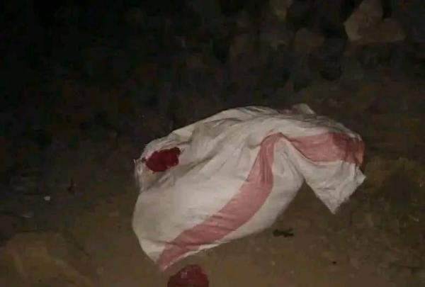 في كيس مرمي على قارعة الطريق.. العثور على فتاة مقطعة الأوصال في إب