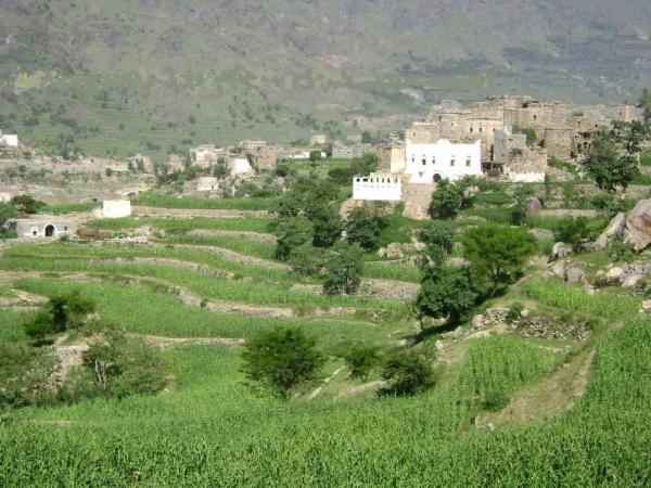 إب.. مواطن يقتل زوجته وأمها وشخصاً ثالثاً في مديرية حبيش