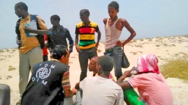 منظمة دولية: أكثر من 200 ألف مهاجر إفريقي في اليمن بحاجة لمساعدة إنسانية