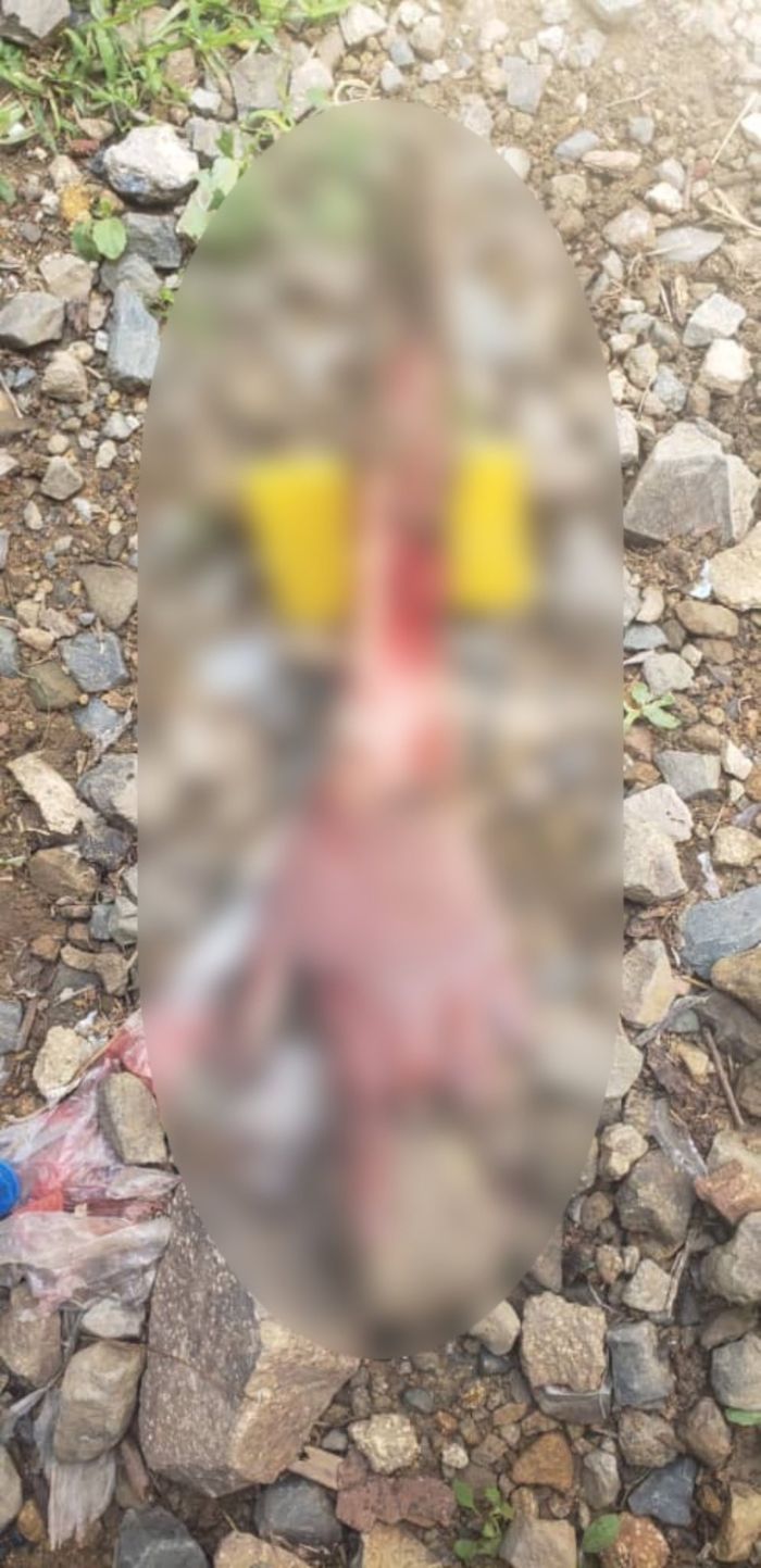 خمس جرائم مروّعة خلال 48 ساعة تكشف تنامي العنف الأسري بمناطق الحوثيين