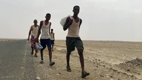 منظمة الهجرة: وصول نحو 9 آلاف مهاجر إفريقي إلى اليمن خلال سبتمبر الماضي