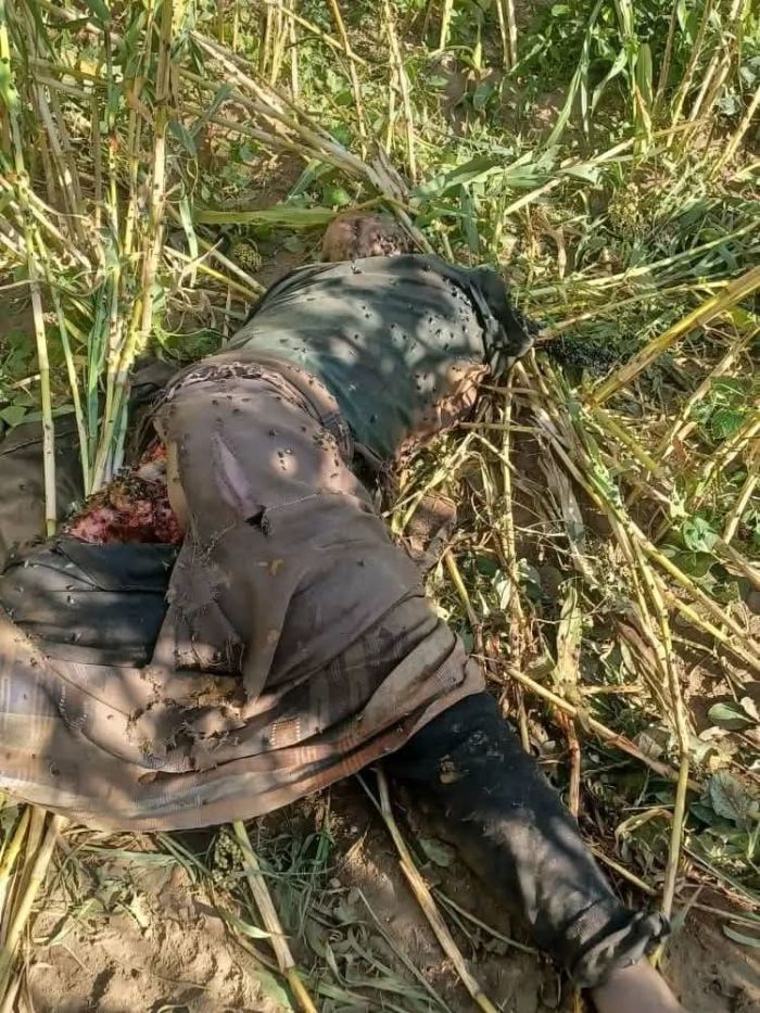 تعز.. مواطنون يعثرون على جثة شاب في مديرية سامع