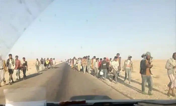 شبوة.. وصول دفعات جديدة من المهاجرين الأفارقة يرفع وتيرة المخاوف والتحديات الأمنية