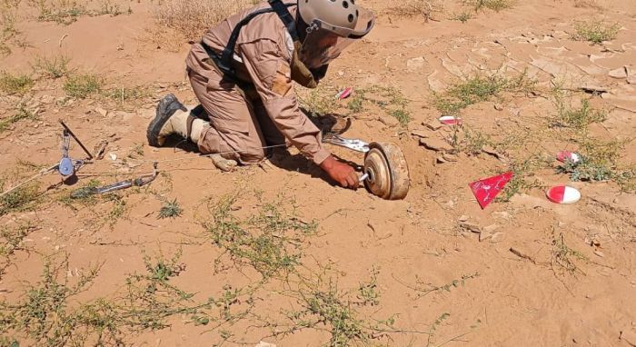 مسام يعلن نزع أكثر من 2800 لغم وذخيرة خلال أسبوعين