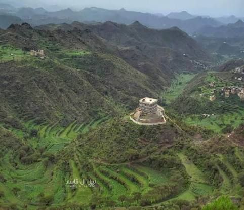 إب.. مسلحون حوثيون يعتدون بالضرب على مُسن في جبلة