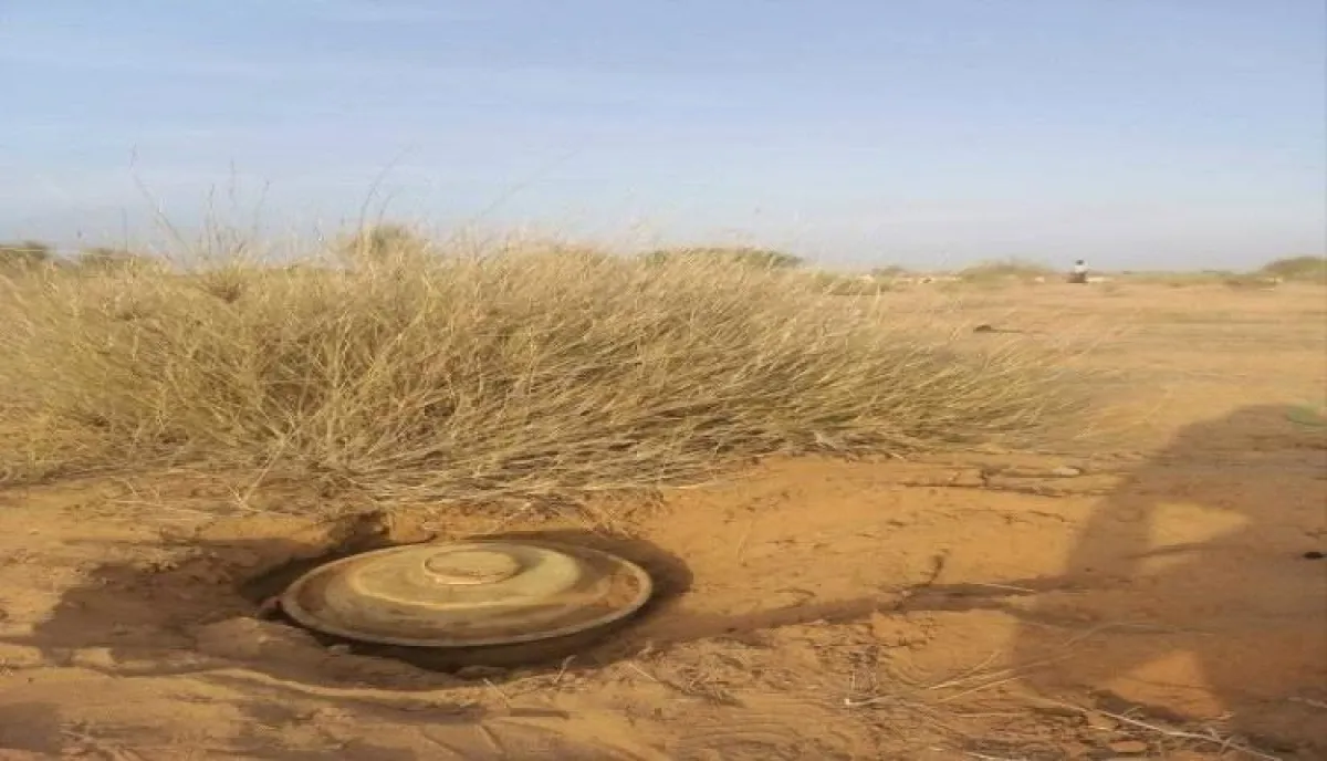 الحديدة.. مقتل مواطن بانفجار لغم حوثي أثناء رعيه للأغنام بمديرية حيس