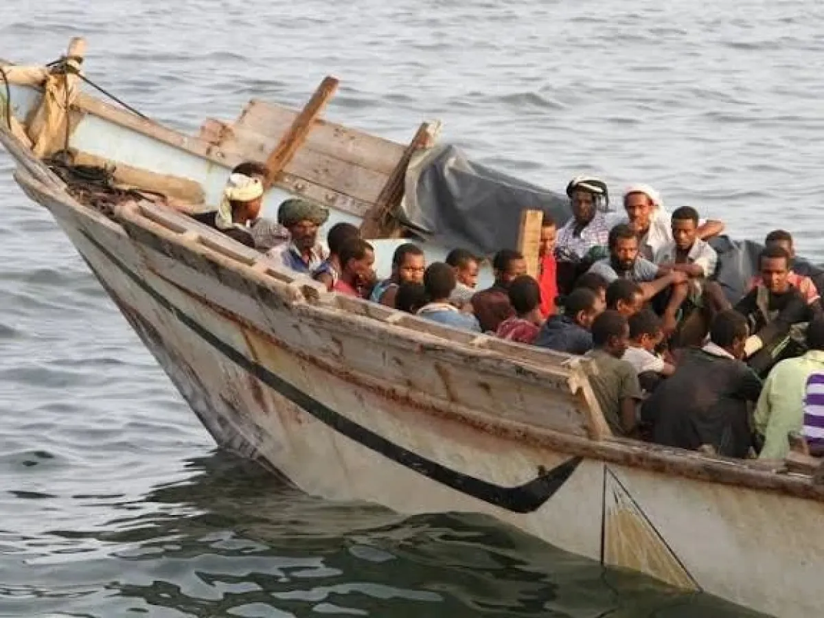 وصول 180 مهاجراً غير شرعي إلى سواحل شبوة قادمين من القرن الإفريقي