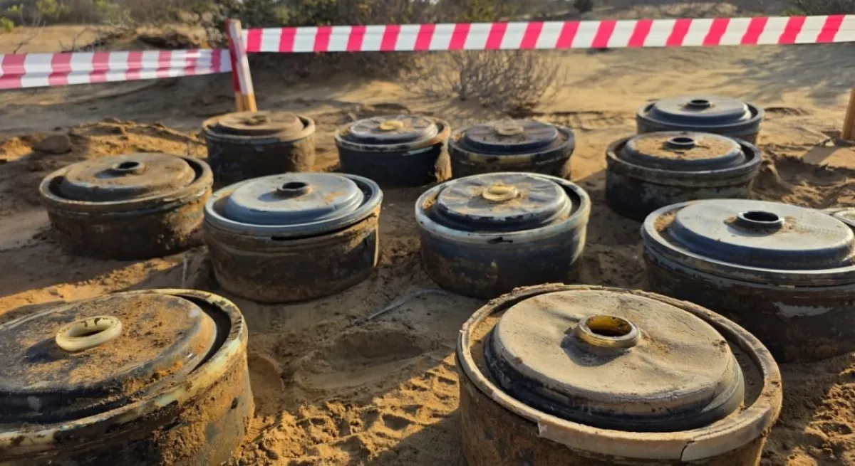 "مسام": تطهير 223 ألف متر مربع ونزع 1231 لغمًا وذخيرة حوثية في المناطق اليمنية المحررة خلال أسبوع