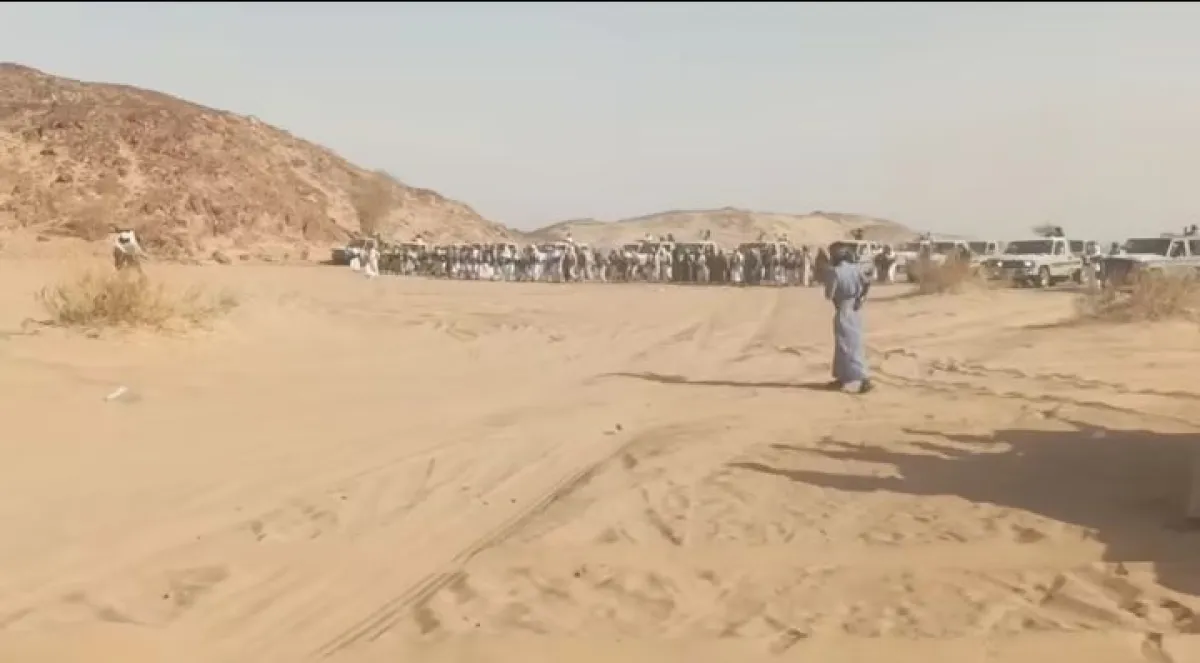 لليوم الثاني.. وفود من قبائل بني نوف وحضرموت وذمار تصل إلى الجوف تلبية لنكف الشيخ حمد الحزمي