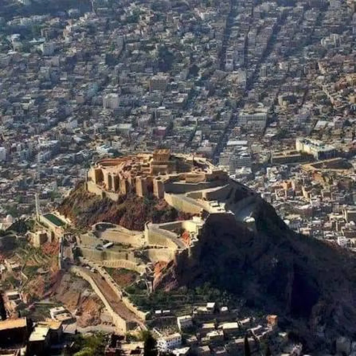 تعز.. 
