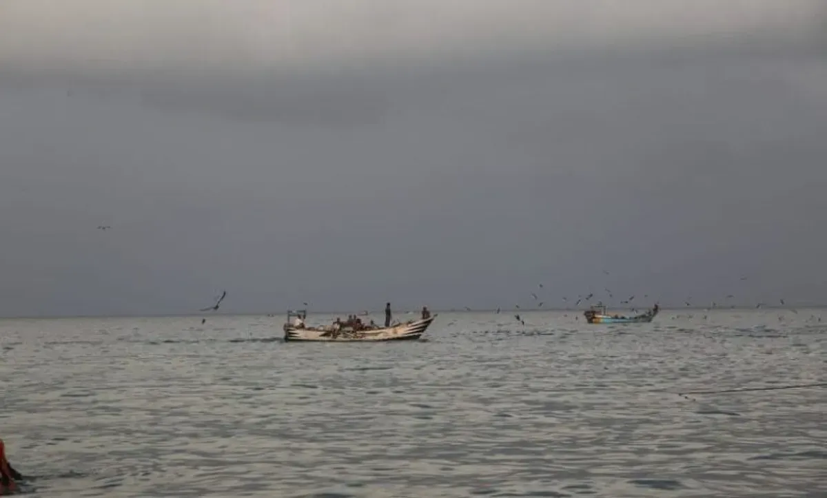 Eritrea Releases 15 Yemeni Fishermen Detained for Three Months