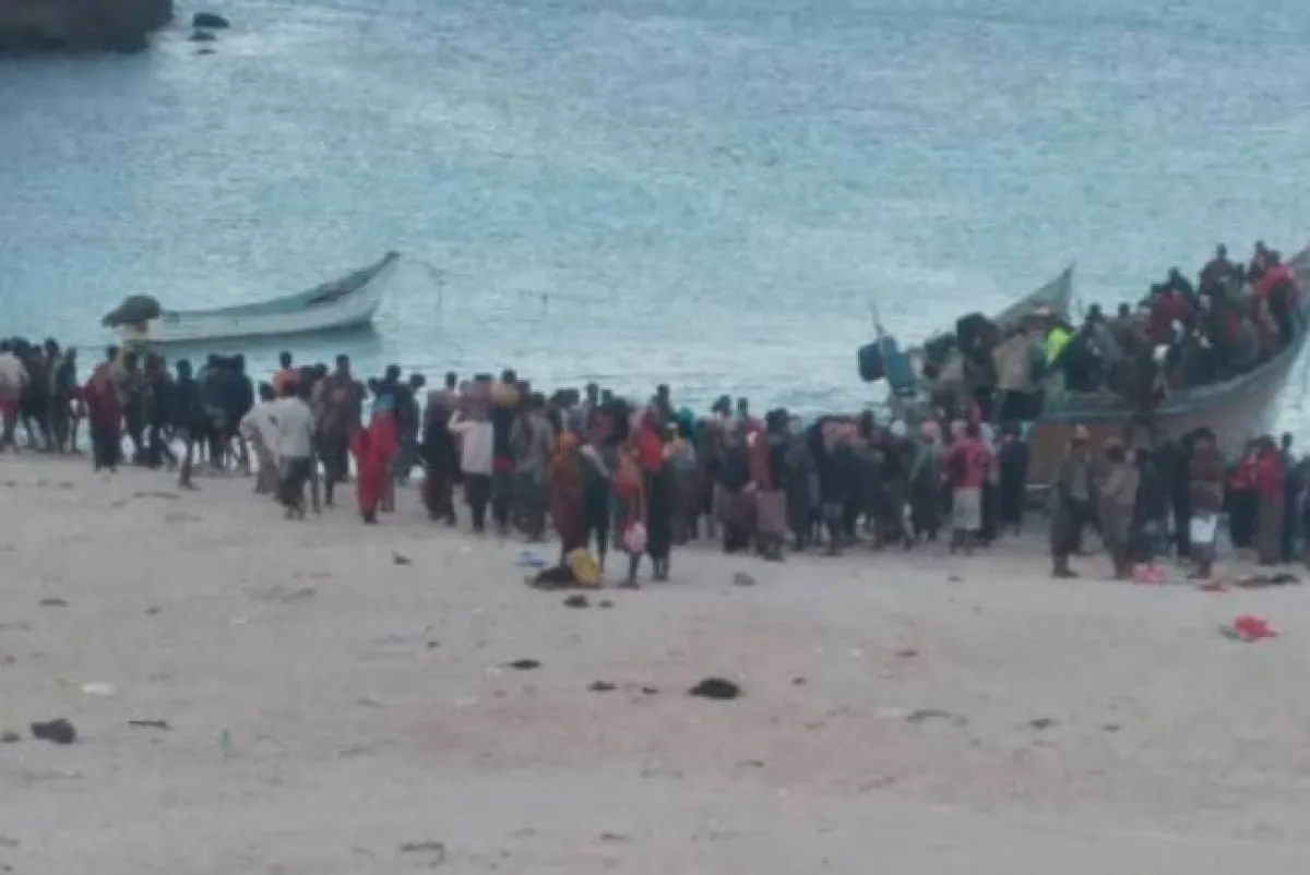 تقرير أممي:  13.6 ألف مهاجر أفريقي يصلون إلى اليمن خلال يوليو
