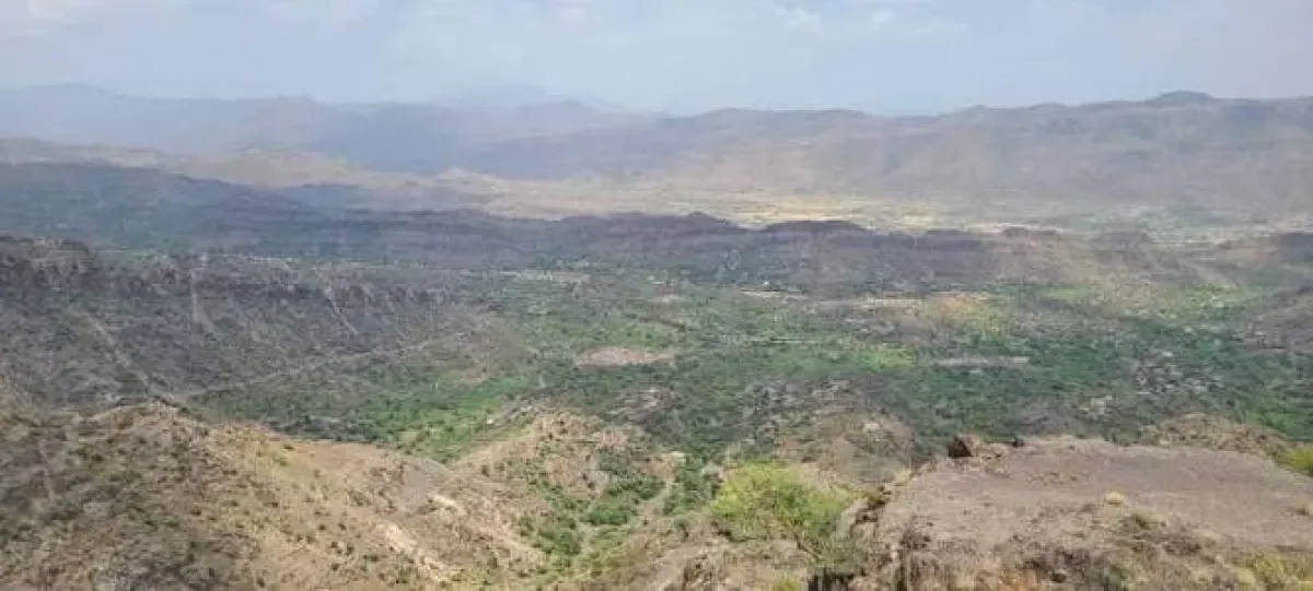Yemeni Government Forces Secure Strategic Gains in Southwest Taiz