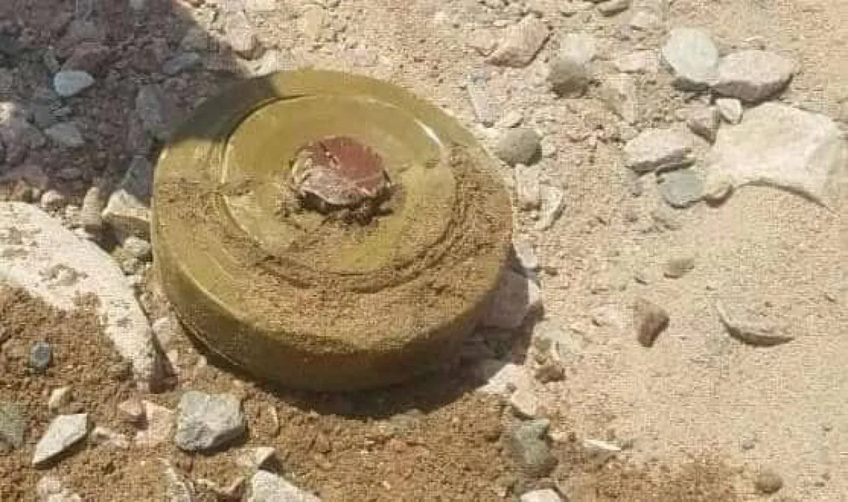 Ten-Year-Old Boy Killed by Houthi Landmine in Southern Hodeidah