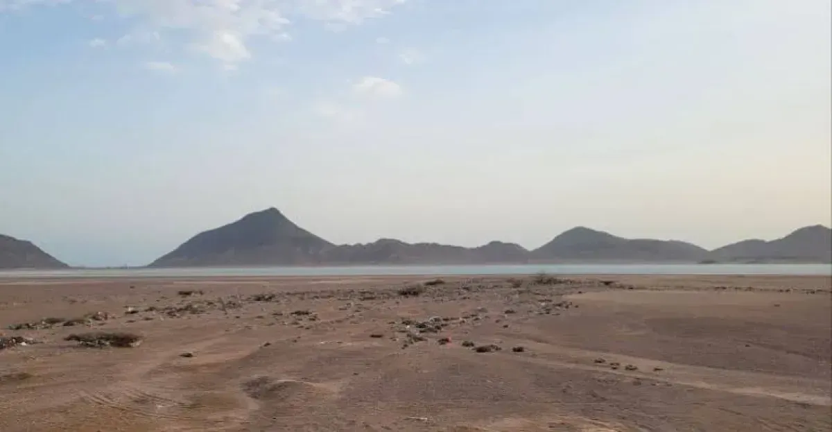 Giants Brigades and Nation Shield Forces Secure Bab al-Mandab Strait and Mayun Island