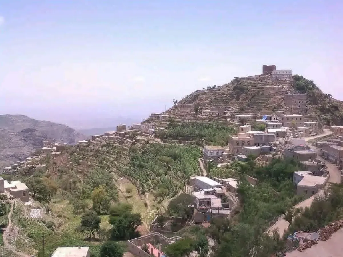 Yemeni Government Forces Repel Houthi Attacks and Execute Ambush in Taiz